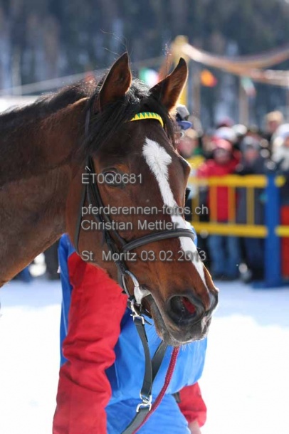 ET0Q0681 prot